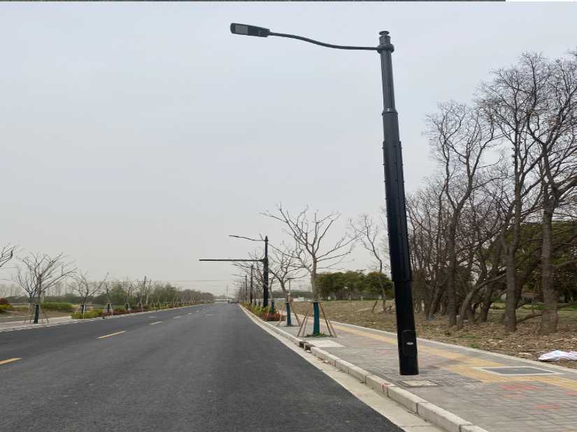 龙岩市上海综合杆 太阳能路灯工程